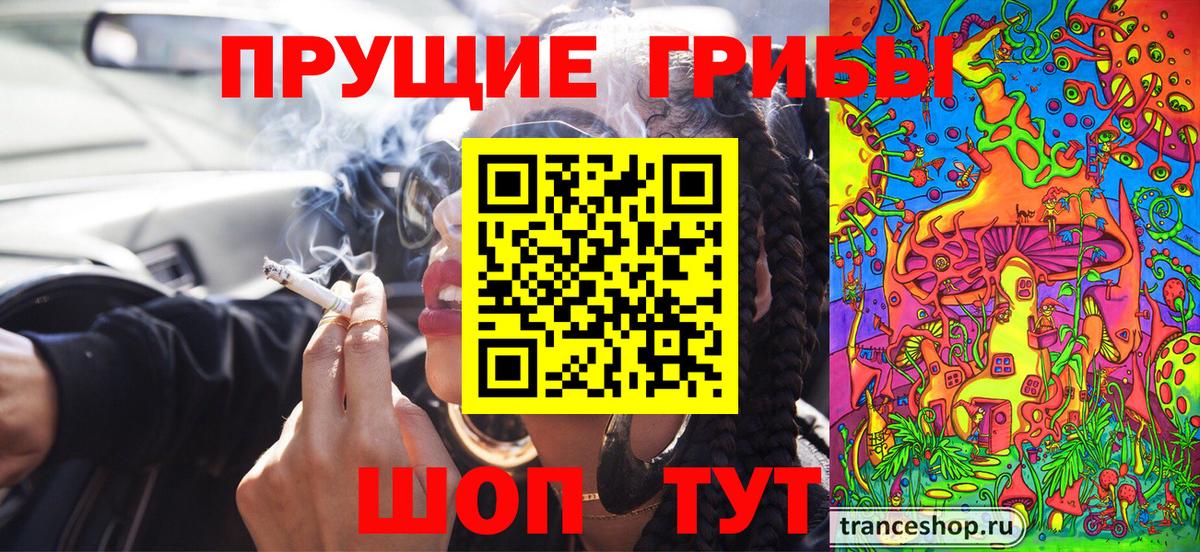 Псилоцибиновые грибы ЛСД  Вход с VPN  Губаха  Псилоцибиновые грибы Psilocybe 