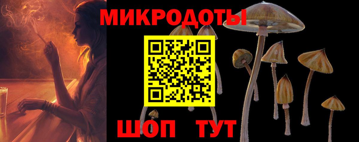 Галлюциногенные грибы Psilocybine cubensis Губаха