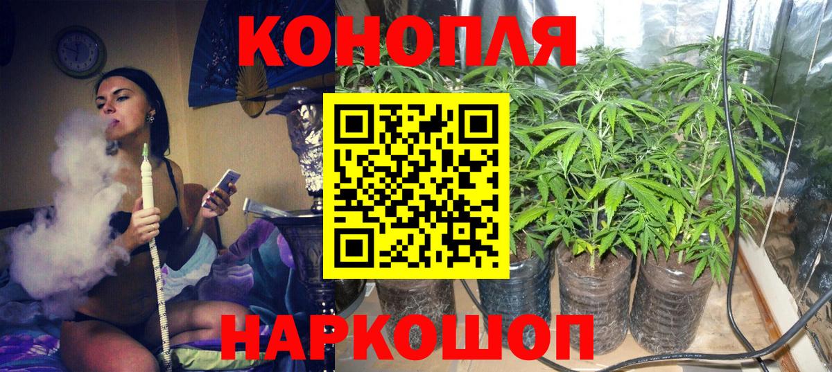 Конопля SATIVA & INDICA  Марихуана MAZAR  Вход с VPN  Каннабис MAZAR  Губаха 